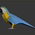 Low Poly Parrot with Blue Yellow Green and White Feathers in 3D Geometric Design
