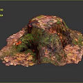Vibrant Plant Growth On Colorful Tree Stump With Green Red And Yellow Hues