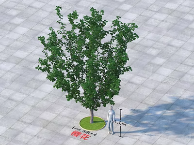 Cherry Blossom Arbor With Green Leaves On Gray Tiles Lawn Near Person And Lamp Post 3d model