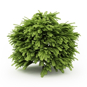 Dwarf Shrubs Landscape Shrubs Outdoor Plants 3d model