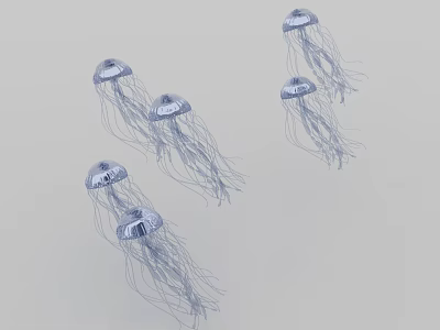 Several Aquatic Jellyfish Swimming Gracefully In Clear Blue Water With Long Delicate Tentacles 3d model
