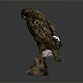 Realistic Wooden Owl Sculpture Perched On Natural Tree Stump Base
