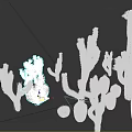 Various Desert Cacti Plants With Different Shapes Flowering And Green Fruits
