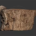 Natural Tree Stump With Rough Bark Texture And Wooden Surface Details