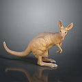 Realistic Standing Kangaroo Figurine Model With Detailed Texture And Reflective Base 3d model