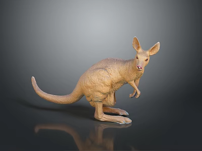 kangaroo big kangaroo african kangaroo land animal wild animal large animal mammal 3d model
