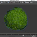 Spherical Green Bush With Lush Leafy Foliage In Round Shape Design