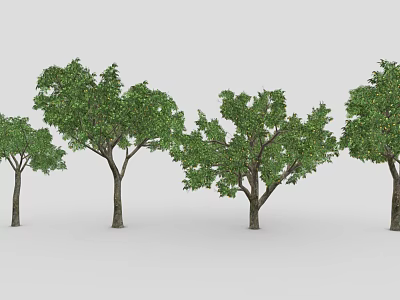 Varied Green Trees with Different Canopy Shapes in 3D Rendered Scene 3d model