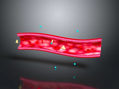 Organ System Structure With Red Tubular Vessel And Internal Particles In Biological Visualization 3d model