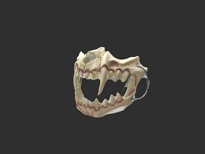 Animal Tooth Mask Bone Ornament Beast Head Decoration 3d model Animal Tooth Mask Bone Ornament Beast Head Decoration 3d model