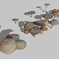 Multiple Brown Mushrooms Displaying Various Sizes And Natural Cap Stem Structures 3d model