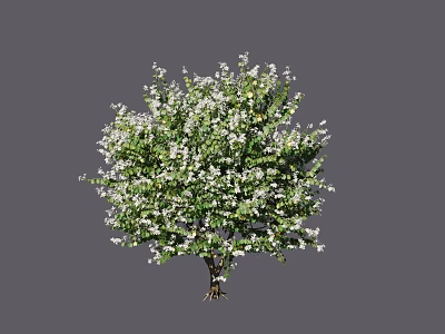 Lush Blooming Arbor With Dense Green Leaves And White Small Flowers 3d model