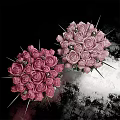 Two Bonsai Potted Plants With Pink Roses In White Bucket Shaped Pots And Lush Blooms