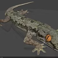Gray Green Patterned Gecko Reptile With Orange Eyes And Camouflage Skin Texture