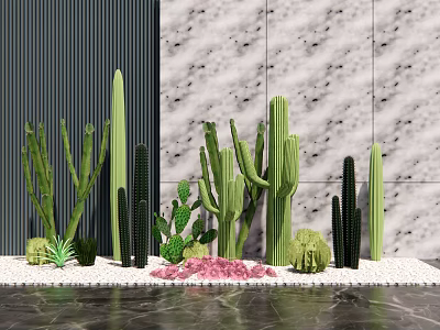 Cactus Succulent Bonsai Potted Plants with White Pebbles Pink Stones Gray Dark Striped Wall 3d model