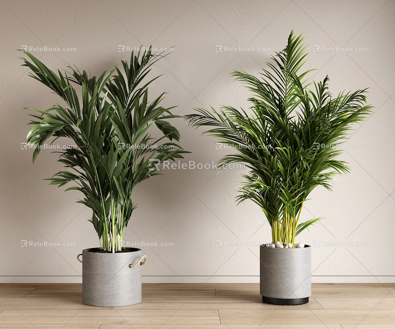 modern potted plant green plant potted plant 3d model