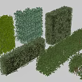 Different Types Of Trimmed Green Shrubs In Various Shapes For Garden Landscaping