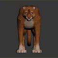 Reddish Brown Cougar With Yellow Eyes White Paws Standing In 3D Model On Dark Background
