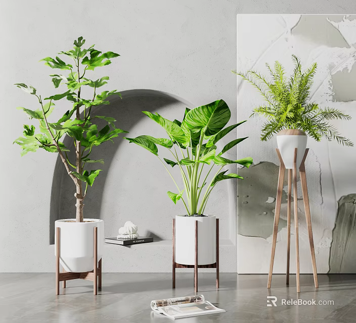 Indoor Potted Plants With Various Green Leaves On Wooden Stands And Modern Decor 3d model 