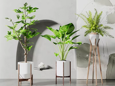 Indoor Potted Plants With Various Green Leaves On Wooden Stands And Modern Decor 3d model