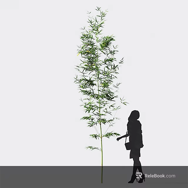 Tall Bamboo Plant With Silhouette Of A Person 3d model 