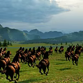 Beautiful Scenery Of Vast Grassland With Herd Of Running Horses Distant Mountains And Cloudy Sky