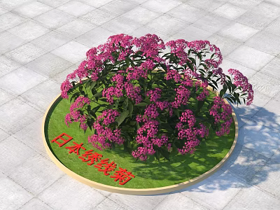 Japanese Spiraea Shrub With Pink Flowers In Circular Green Grass Planter 3d model