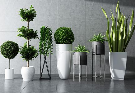 Modern Potted Plant Green Plant Potted Plant Combination Potted Plant Indoor Potted Plant Indoor Green Plant Flowers Potted Plant Pile Green Plant Combination 3d model