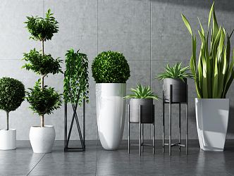 Modern Potted Plant Green Plant Potted Plant Combination Potted Plant Indoor Potted Plant Indoor Green Plant Flowers Potted Plant Pile Green Plant Combination 3d model