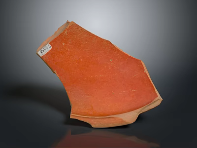 Orange Archaeological Pottery Sherd Artifact With Label And Textured Surface 3d model