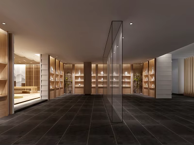 Modern Spacious Showroom Interior Design With Wooden Display Cabinets Glass Partitions Shelves And Green Plants 3d model