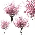 Graceful Flowering Trees with Pink Blossoms Lush Branches and Elegant Natural Form