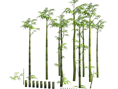 Lush Bamboo Plants Landscape With Tall Green Stems And Fresh Leaves 3d model