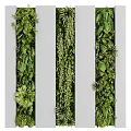 Living Plant Wall Vertical Design With Diverse Green Plants For Indoor Decoration