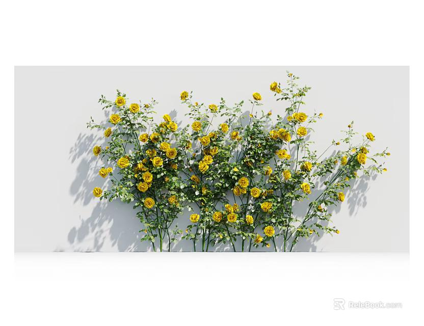 Lush Leafy Green Vines Adorned With Yellow Flowers On White Background 3d model 
