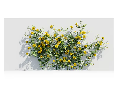 Lush Leafy Green Vines Adorned With Yellow Flowers On White Background 3d model