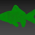 Red And White Goldfish Featuring Large Eyes And Fan Shaped Fins On Light Gray Background