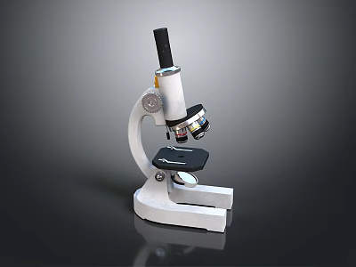 High Quality Laboratory Microscope With Adjustable Magnification For Scientific Research 3d model
