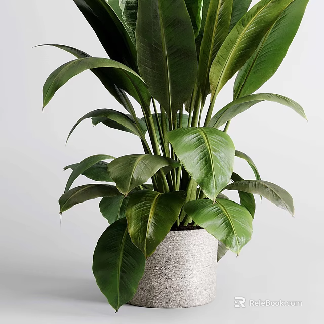 Elegant Green Leafy Plant In Textured Vase For Modern Home Decoration 3d model 