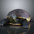 Reptile Turtle With Dark Shell Yellow Underbelly And Smooth Surface Reflection 3d model