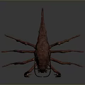Red Arachnid Creature With Long Antennae Many Slender Legs And Oval Body