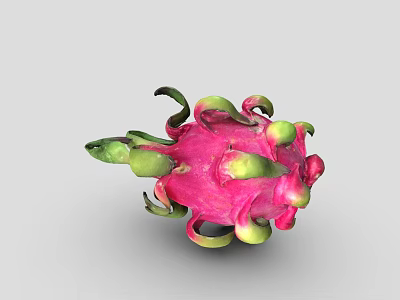 Fresh Ripe Dragon Fruit with Pink Skin and Green Leafy Tips on White Background 3d model