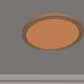 Modern Round Ceiling Light With Golden Frame And Bright White Light 3d model