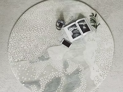 Chic Round Area Rug Featuring Books Plants And Decor Accents 3d model