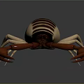 Brown and Beige Scorpion With Large Claws Tail And Reflection On Shiny Surface 3d model