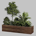 Rustic Wooden Rectangular Planter With Assorted Lush Green Plants For Modern Outdoor Garden Landscape Decoration