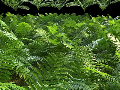 Natural Style Decorative Ornament Set With Fern Leaves For Home Tabletop Decoration 3d model