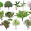 Modern Fruit Trees 3d model