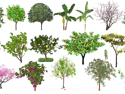 Various Arbor Trees With Different Species Fruit Bearing Branches And Green Leaves 3d model