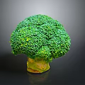 Vibrant Fresh Green Broccoli with Yellow Stem on Gray Background